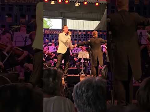 Dein ist mein ganzes Herz