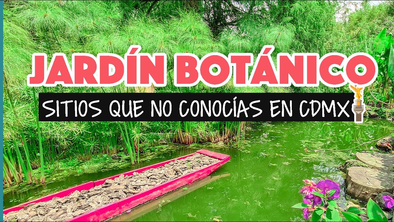 Jardín Botánico de Chapultepec en la Ciudad de México | ¿Qué hacer en la CDMX