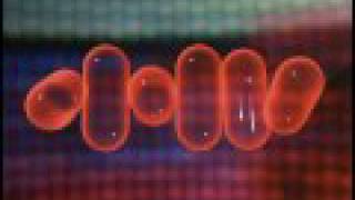 Radiohead - Kinetic (short film) [HQ]