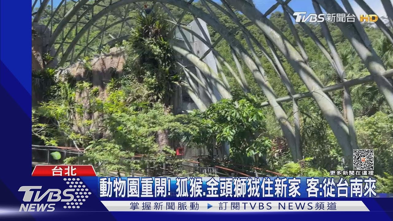 端午開玩！動物園「整修住新家」　百貨｢立冰蛋」