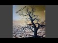 Barren Land