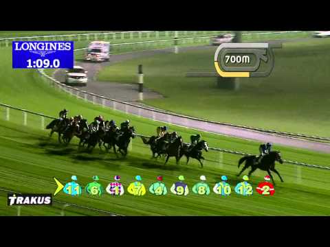 23.01.2014 Meydan (Dubai-UAE) 6.Race Property Weekly - Handicap  1.800 m