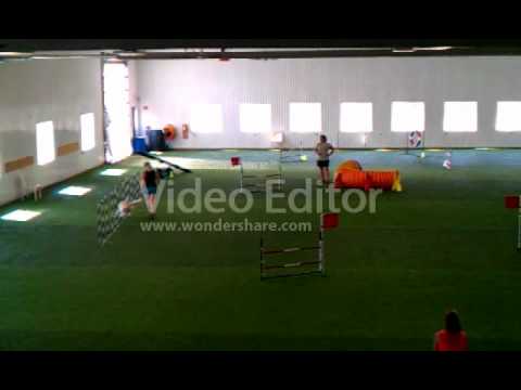 AAC Starter Snooker - Cobain