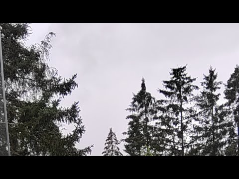 niilo22 Lauantai live