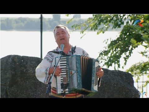 Nelu Greblă - Pe sub poala pădurii (@Politică şi delicateţuri)
