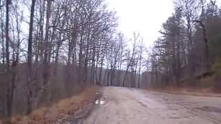 Download Lagu Trapping Bobcat #5, Grey Foxes, Beaver, a muskrat, a Coyote and Raccoon on Quicksand Creek! Thumbnail