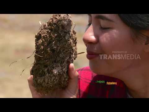 JEJAK PETUALANG | SAJIAN UNIK NUSA TENGGARA TIMUR (31/07/18) 1-3