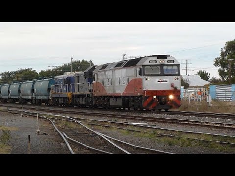 G532 T373 TL154, El Zorro grain