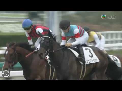 川田將雅 碧天騰躍 04/04/2021 日本阪神競馬場 三歲一捷馬賽 - 1600米 草地