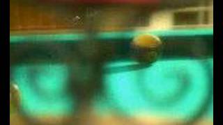 pure instinct - ikaw na lang sana