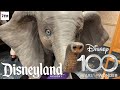 100 Years Of Wonder Film To Attraction Attraction To Film Disney Anniversary Exhibit 2023