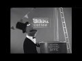 Wilkins Coffee Dive Recreation