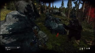 「Dayz」熊ぁぁぁぁ！！「PS5」