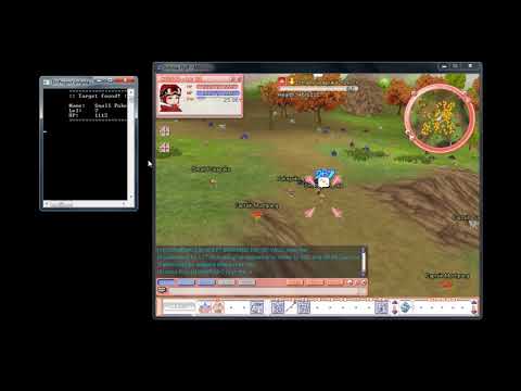 Infynia FlyFF Bot - Test mode