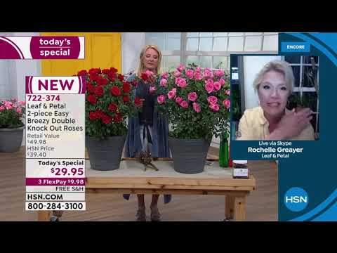 HSN | Your Best Backyard 05.19.2020 - 02 AM