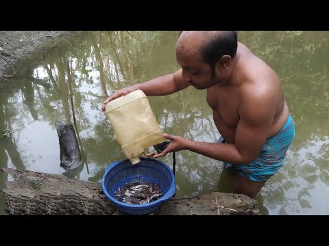 Fish Trap || Plastic Gallons || Catfish In Bangladesh