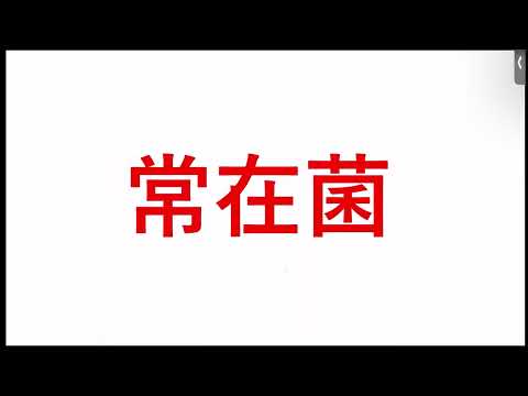 看護学科 誤嚥性肺炎と嫌気培養