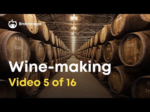 Wine 101: 10 Basic winemaking facts you should know!