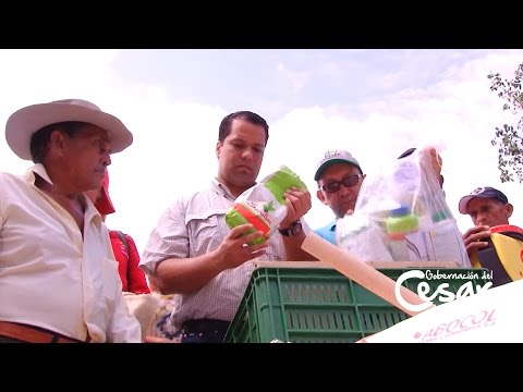 Mpios del norte del Cesar se beneficiaron con el proyecto hortofrutícola que ejecutó el gobierno