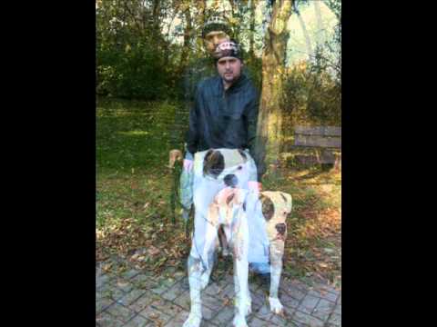 Absinth - Freestyle (Horsthausen28)