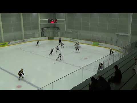 Maalikooste Ilves-Blues 14.1.2018