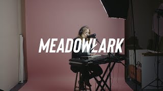Meadowlark - Family Tree (2018) Live
