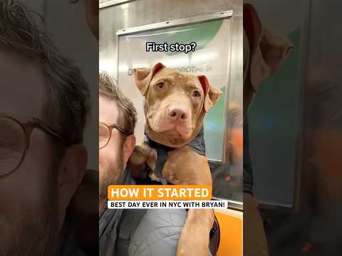 Youtube Video Embed