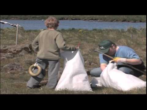 Icelandic Eiderdown - Quality of Nature