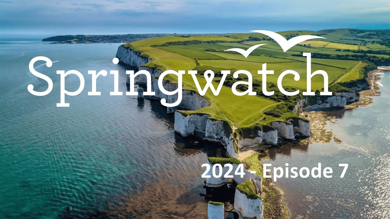 Springwatch 2024   07  Episode 7 m001zyz3 original video