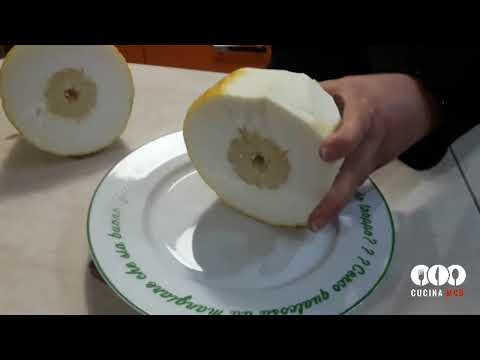 Agrumi di Sicilia …,Cedro gigante.    kg 1750…🍋