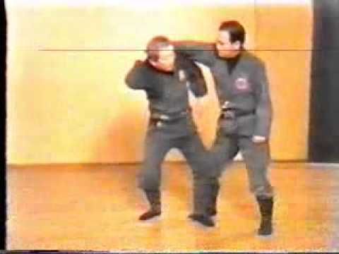 戸隠流忍法体術の巻 Togashi Ryu Ninpou Taijutsu no Maki