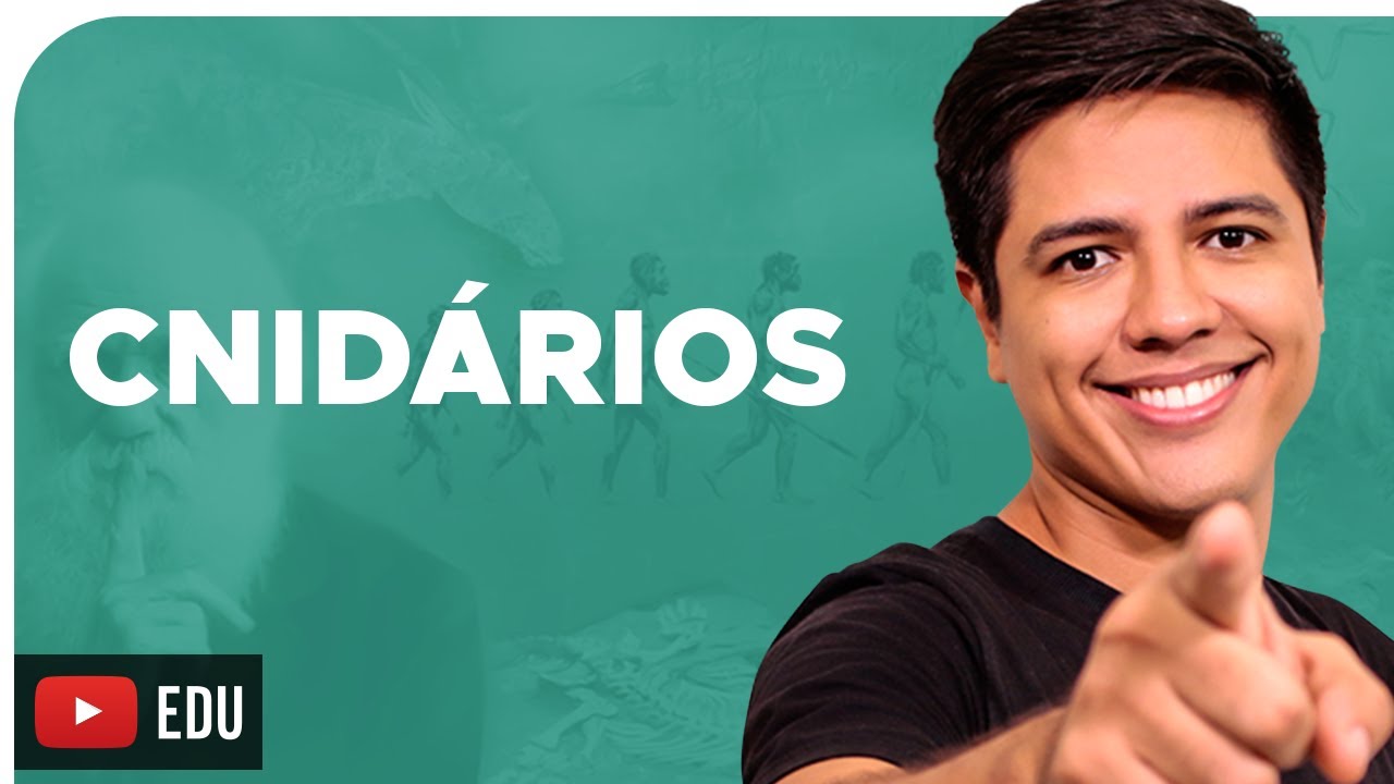 CNIDÁRIOS [CELENTERADOS] - ZOOLOGIA - Reino Animalia - Prof. Kennedy Ramos