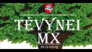 OBTEST @ „Tėvynei MX“ Vilnius 2019 03 09