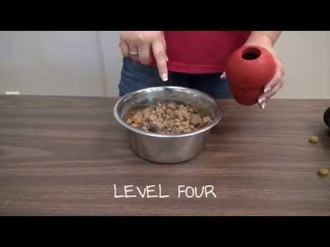 Kong Stuffing 101 - San Diego Humane Society