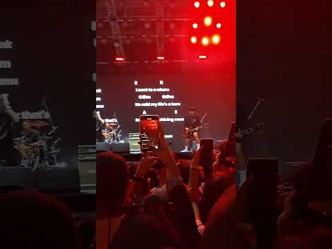 Andre Taulany and Friends - Basket Case (Live at Pestapora 2023)