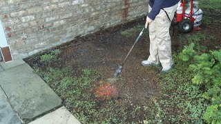 Burn those weeds away with flame weeding | Ask the Arboretum Experts