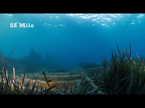 SS Milo