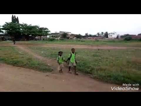 Génération dingue il y a tout dedans