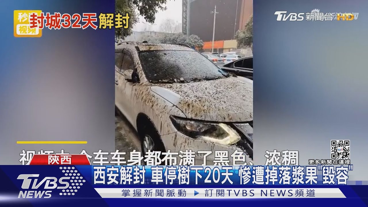 西安解封車停樹下20天 慘遭掉落漿果「毀容」