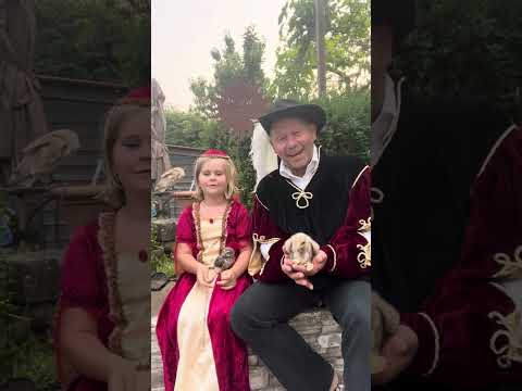 Folge 1 Katzenabenteuer bekommt Nachwuchs #Falknerei Doster