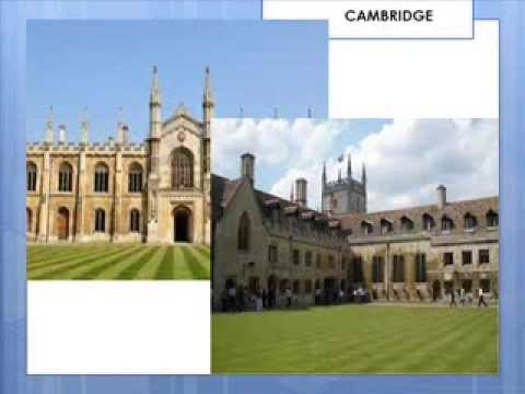 luigi ludovico pasinetti