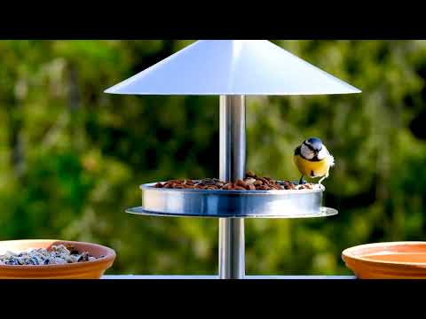 Sleep well meditating music _ @peacefulmusicworld0603