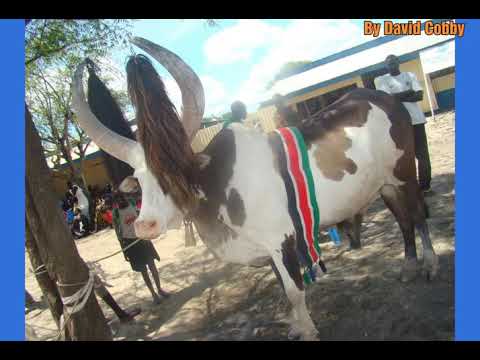 Bol Thon-Ŋɛɛny and Dababa in Juba