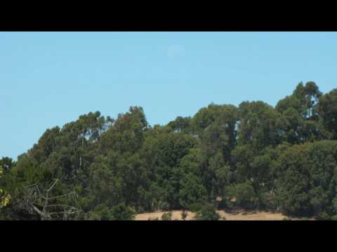 Time lapse:Gibbous Moon set(07/02/2010)