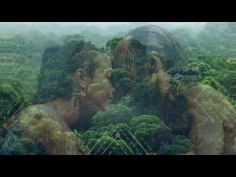 Raio, sophie sôfrēē - Adi Shakti (Jungle Kitchen Remix)