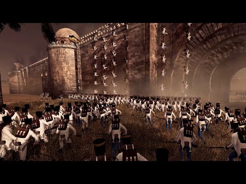 Chaotic Napoleonic Fort Battle That Left Me With Many Questions!