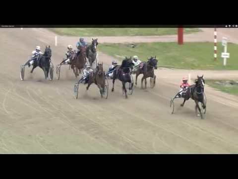 Starello_Heinz Wewering_Preis von Altona 19.06.2013