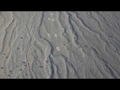 Drone view of Hazarganji Chiltan National Park (HCNP) Habitat Improvement Quetta Mastung Balochistan