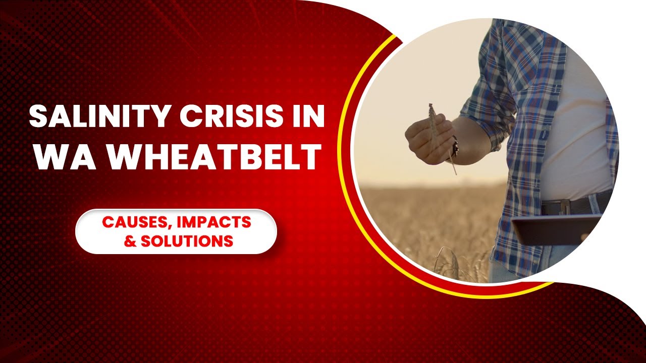 Video: Dryland Salinity in Western Australia  A Strategic Environmental Analysis