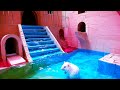 The Great Hamster Escape A Maze Adventure Like No Other
